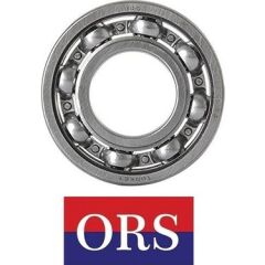 6019 Z 95X145X24 ORS RULMAN